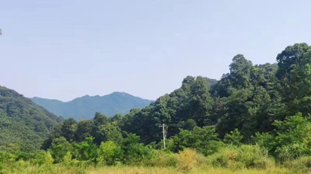 成都屢發(fā)高溫預(yù)警，成都萬(wàn)全電子依然堅(jiān)守在安裝第一線