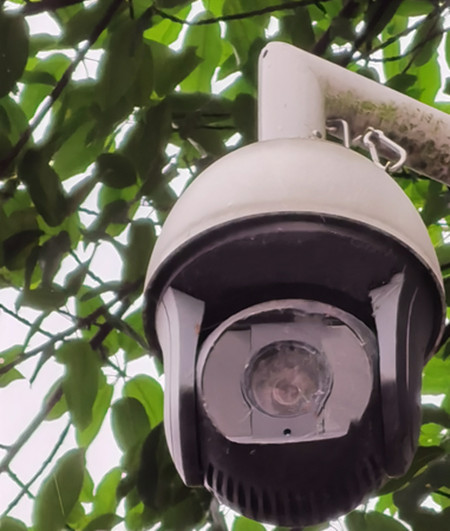 AI視頻聯(lián)網(wǎng)報警系統(tǒng)提示：湖景雖美，但請遠離堤岸|峨眉山|峨秀湖|戶外監(jiān)控球機