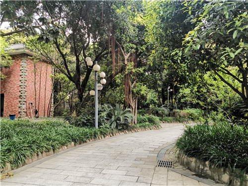 地下停車場、大型倉庫，如何解決大場景下的監(jiān)控需求