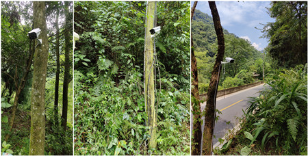 監(jiān)控?cái)z像頭|基站監(jiān)控?cái)z像頭|野外監(jiān)控系統(tǒng) 監(jiān)控?cái)z像頭|基站監(jiān)控?cái)z像頭|野外監(jiān)控系統(tǒng)