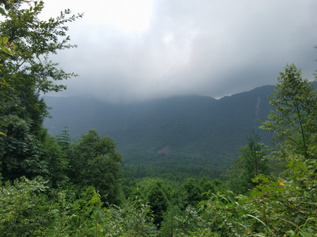 野外安裝監(jiān)控?cái)z像頭，在披荊斬棘中奮斗