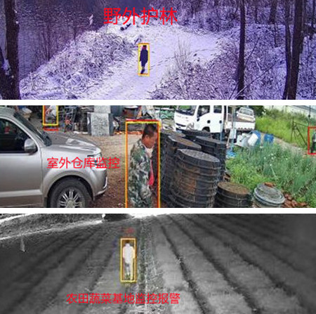 無電無網(wǎng)少人煙的野外，還想裝監(jiān)控系統(tǒng)？這不是空想