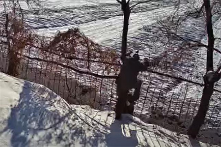 AI視頻監(jiān)控助力養(yǎng)老院監(jiān)控系統(tǒng)實現(xiàn)防止翻越圍欄管理