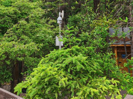 夏季來臨，AI視頻監(jiān)控新防下水算法解決管理難題