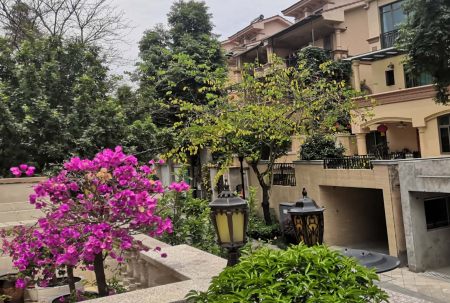 小區(qū)屢被“光顧”，居家安全小區(qū)安防請多加重視