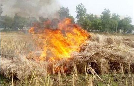 AI視頻監(jiān)控系統(tǒng)|AI監(jiān)控報警系統(tǒng)|農(nóng)村安防|AI算法|防下水算法|火焰識別算法|防翻越算法