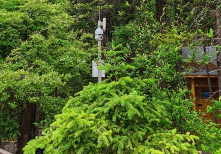 風(fēng)景區(qū)內(nèi)AI視頻分析報(bào)警系統(tǒng)有用嗎