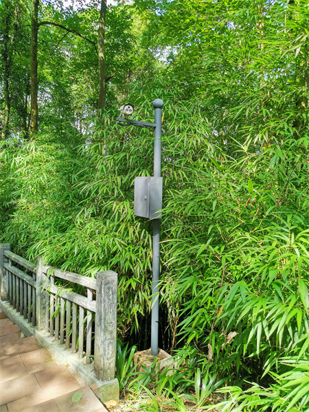 安防監(jiān)控系統(tǒng)工程中的AI智能算法，可實現(xiàn)包括：人形識別、火焰識別、車輛識別、行為識別等一系列的AI智能識別算法